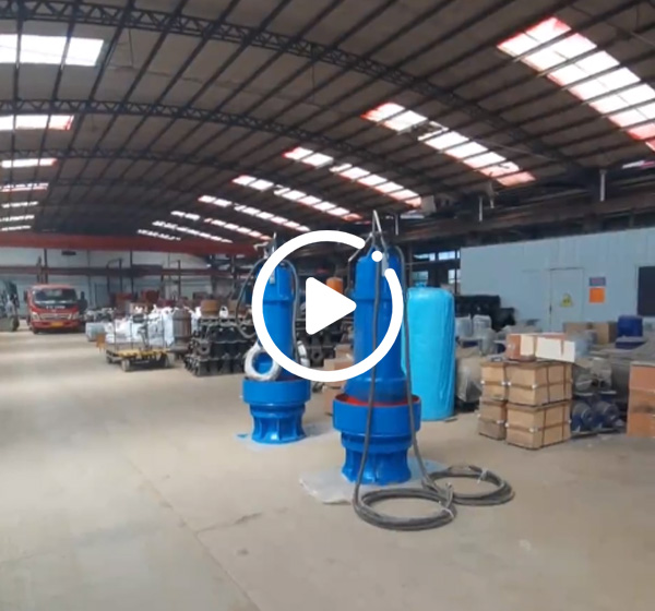 潛水軸流(liú)泵